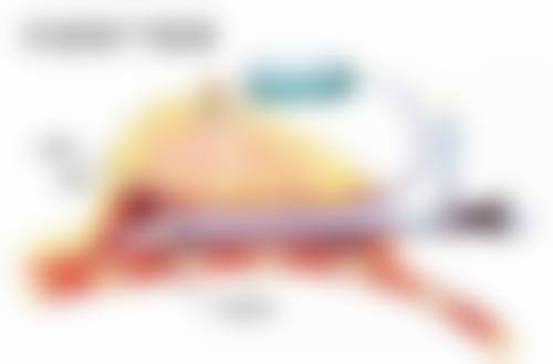 刘志高医生简介做手术价格