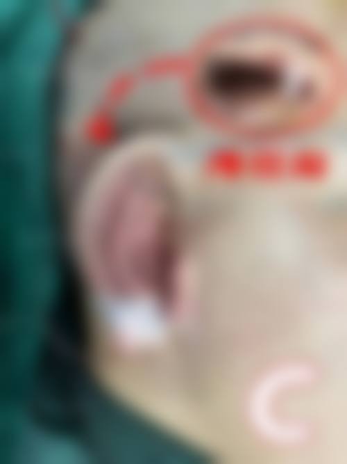 东莞南城宝格丽医疗门诊部价格表