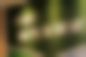 价格透明,检查费用参考多少?