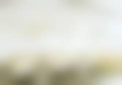 陈文萍医生做手术价格