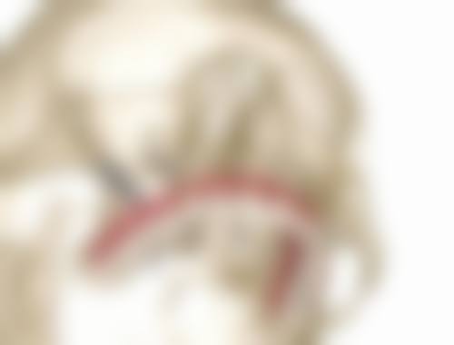 医院资质与实力:正规可靠,值得信赖