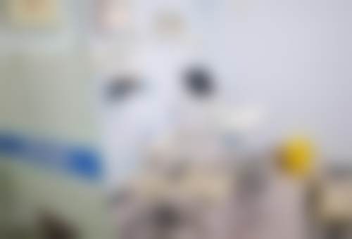 优惠活动详情