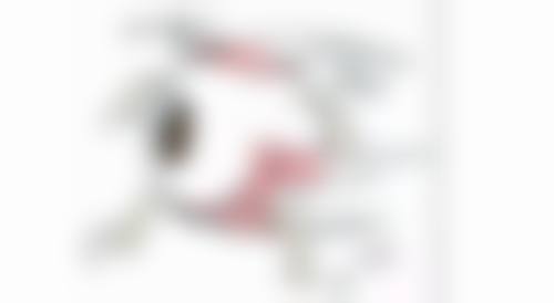 三、上海民航医院眼科(上海交通大学医学校附属瑞金医院古北分院眼科)擅长哪些项目?