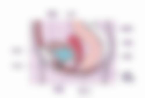 设备环境介绍:国内外标准,舒适体验