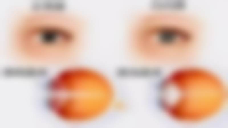 金俊贤院长更擅长哪些项目?技术到底怎么样?